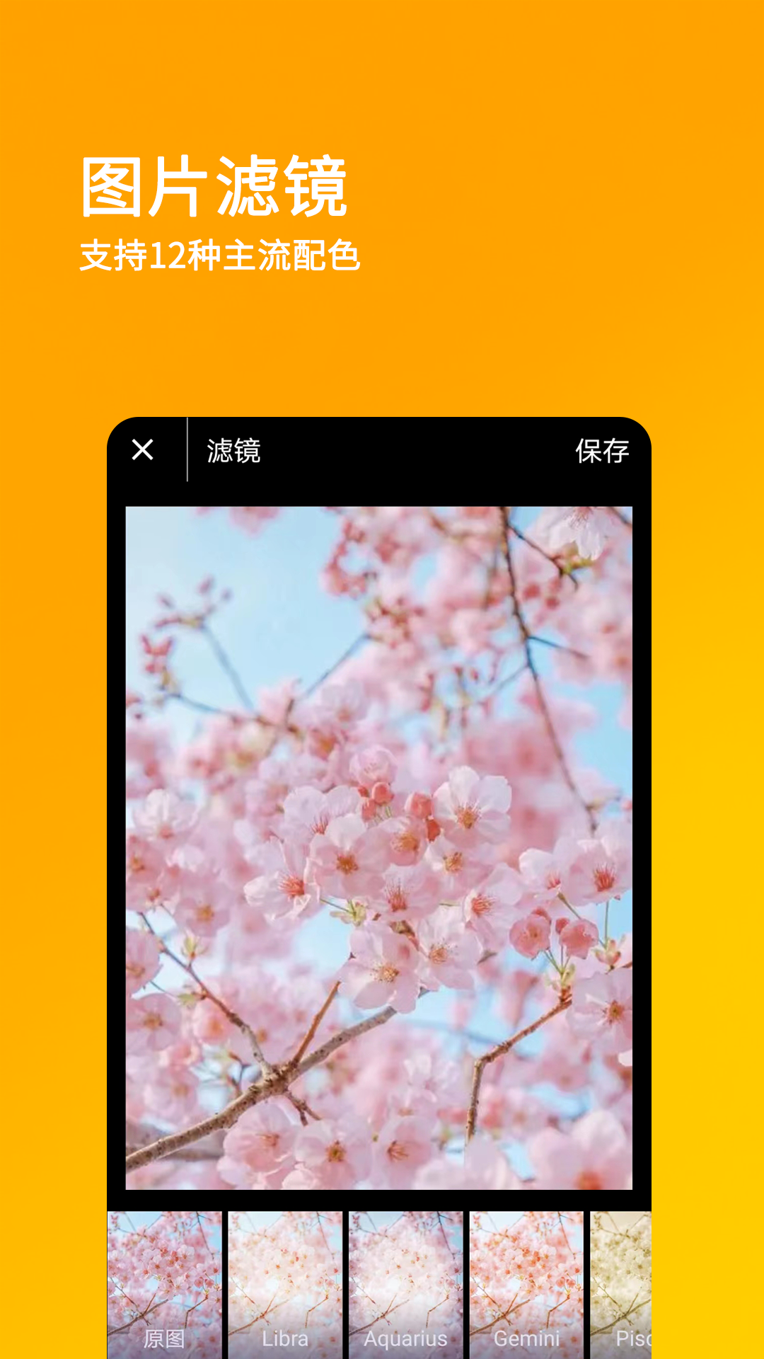 刷圈兔免费版4