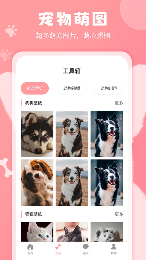 狗语翻译器免费版3