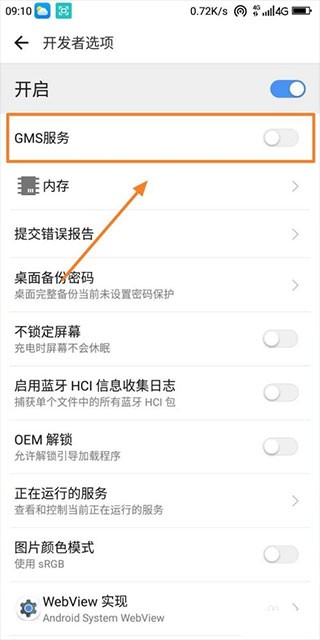 开发者选项GMS服务路径截图