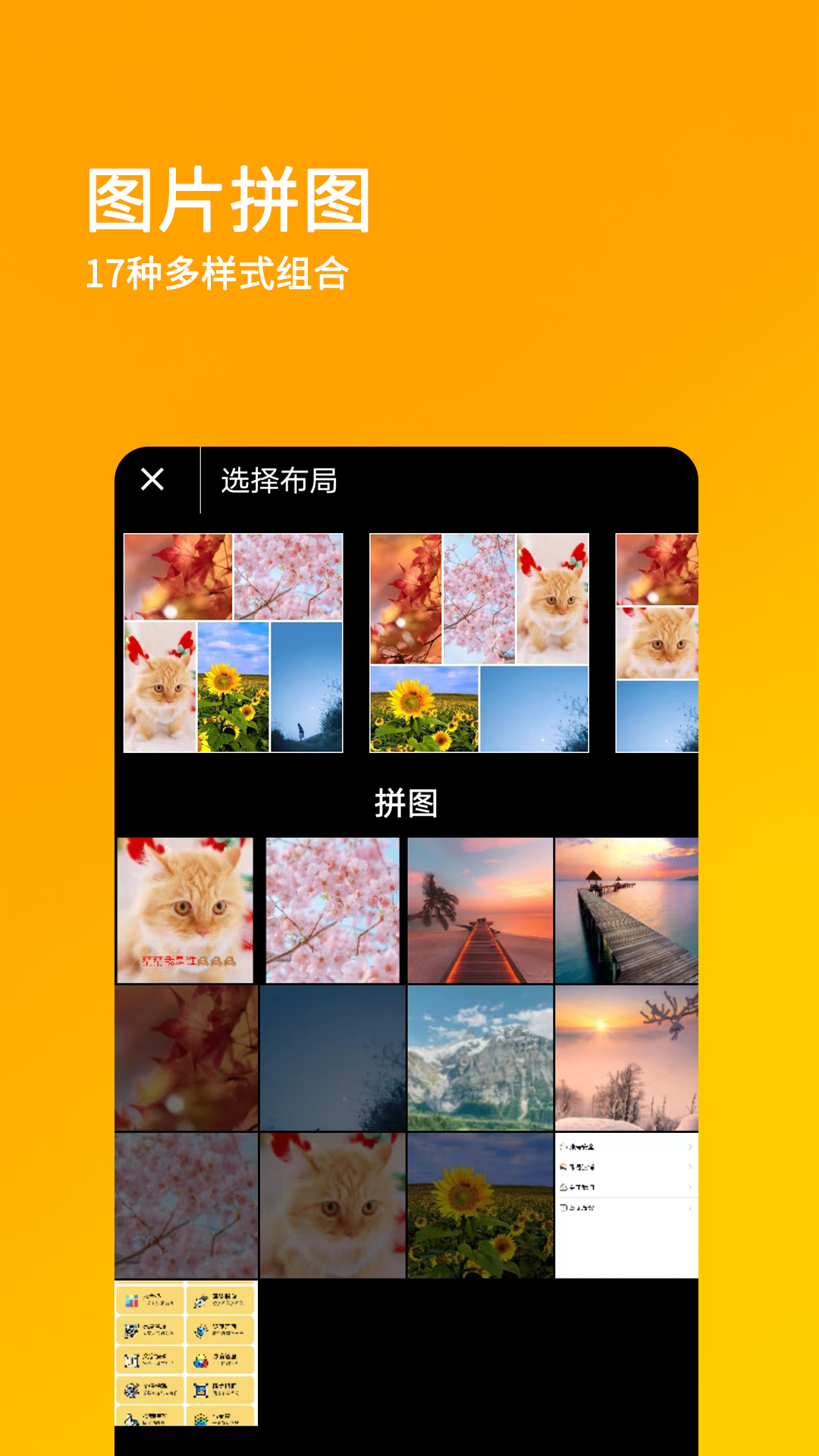 刷圈兔免费版5