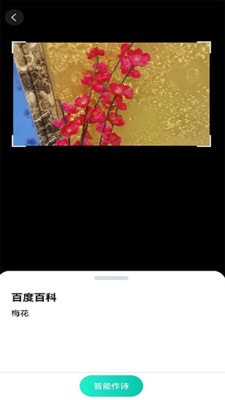 趣萌识别3