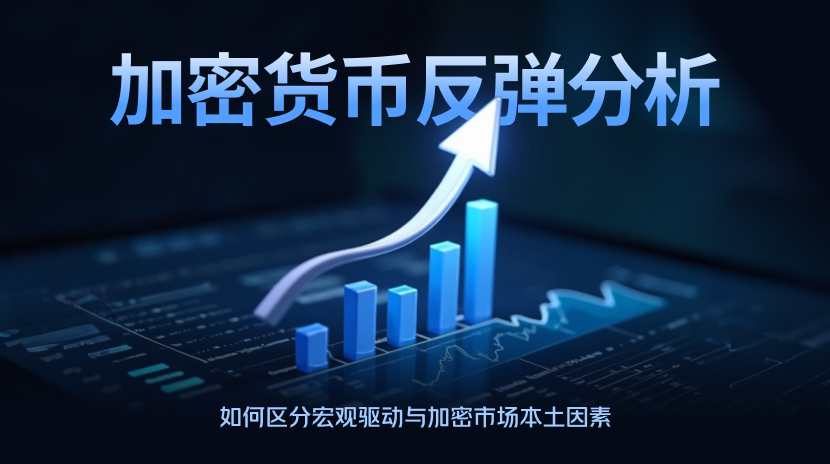 比特币上涨，是宏观还是币圈自身？3个信号一测便知