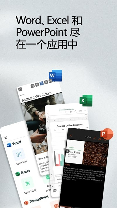 Microsoft Office3