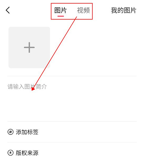 汽水壁纸官方版