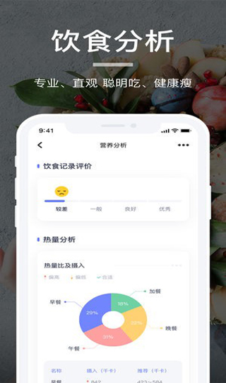 薄荷营养师3