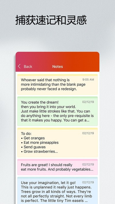 Microsoft Office4