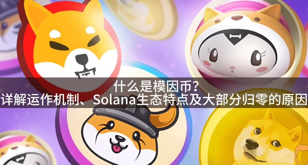 什么是模因币？详解运作机制、Solana生态特点及大部分归零的原因