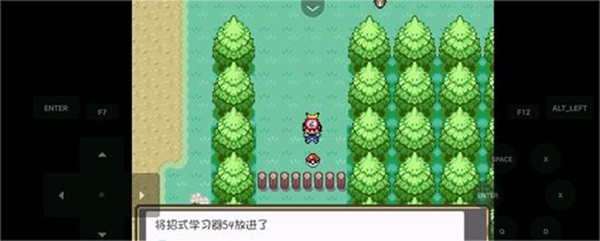 口袋妖怪燃之智汉化版5
