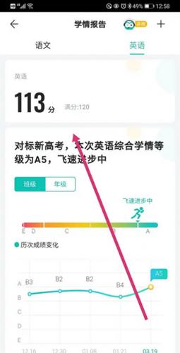 智学网学生端成绩